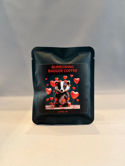 Sampler Bundle